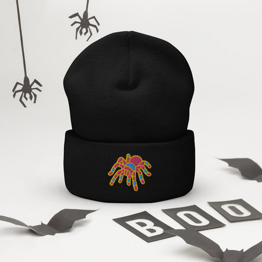 Pansexual Halloween Beanie - Pan Pride LGBTQ Halloween Spider Skull Cap- LGBTQ Embroidered Halloween Knit Hat